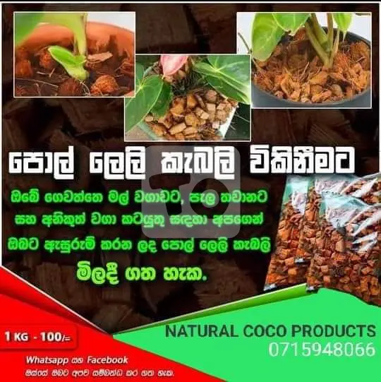 Coconut Husk Chips | පොල් ලෙලි කැබලි | for Anthurium and Orchids - Sri Lanka