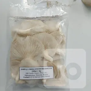 Oyster Mushrooms (ඔයිස්ටර් බිම්මල්) 