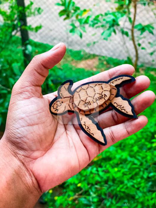 Fridge Magnet - Turtle and Tortoise designed Surface Magnet Art