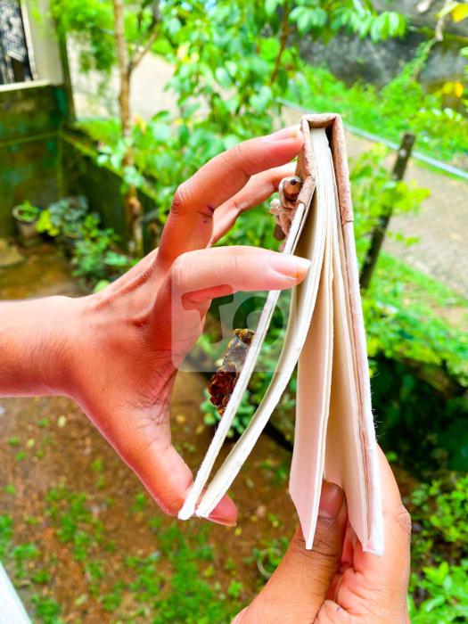 Eco Friendly Sri Lanka Handmade Notebook