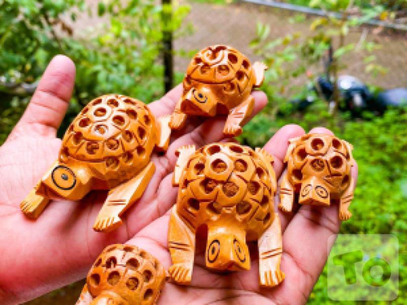 Animal turtle wood carving hand carving handicraft stature - 5 Peaces